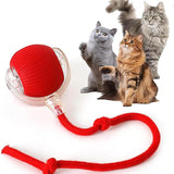 Interactive Rolling Pet Ball
