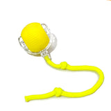 Interactive Rolling Pet Ball