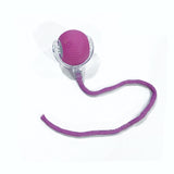 Interactive Rolling Pet Ball