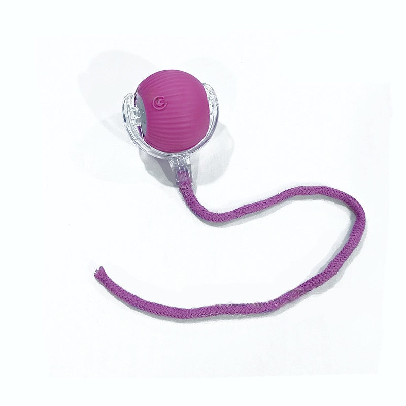 Interactive Rolling Pet Ball