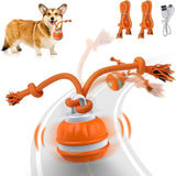 Interactive Pet Ball
