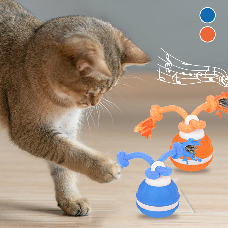 Interactive Pet Ball