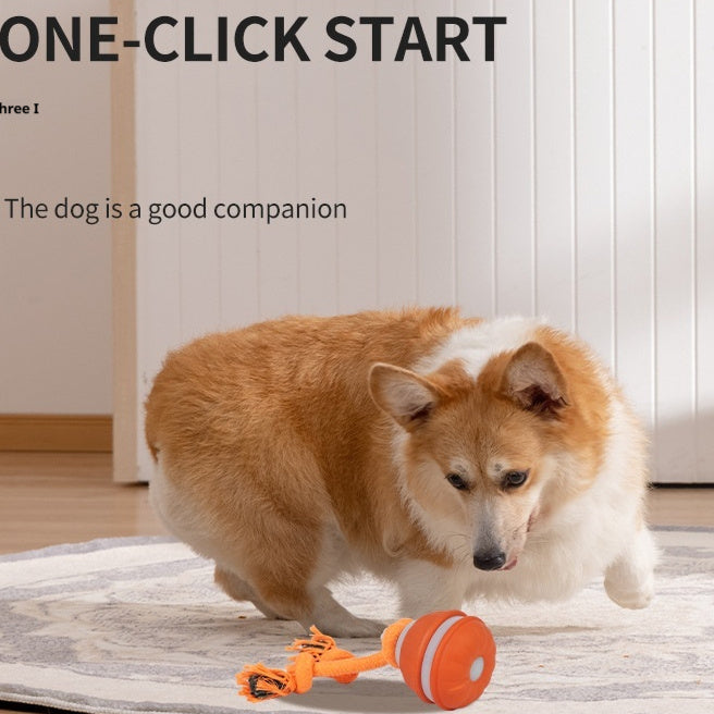 Interactive Pet Ball