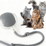 Interactive Rolling Pet Ball