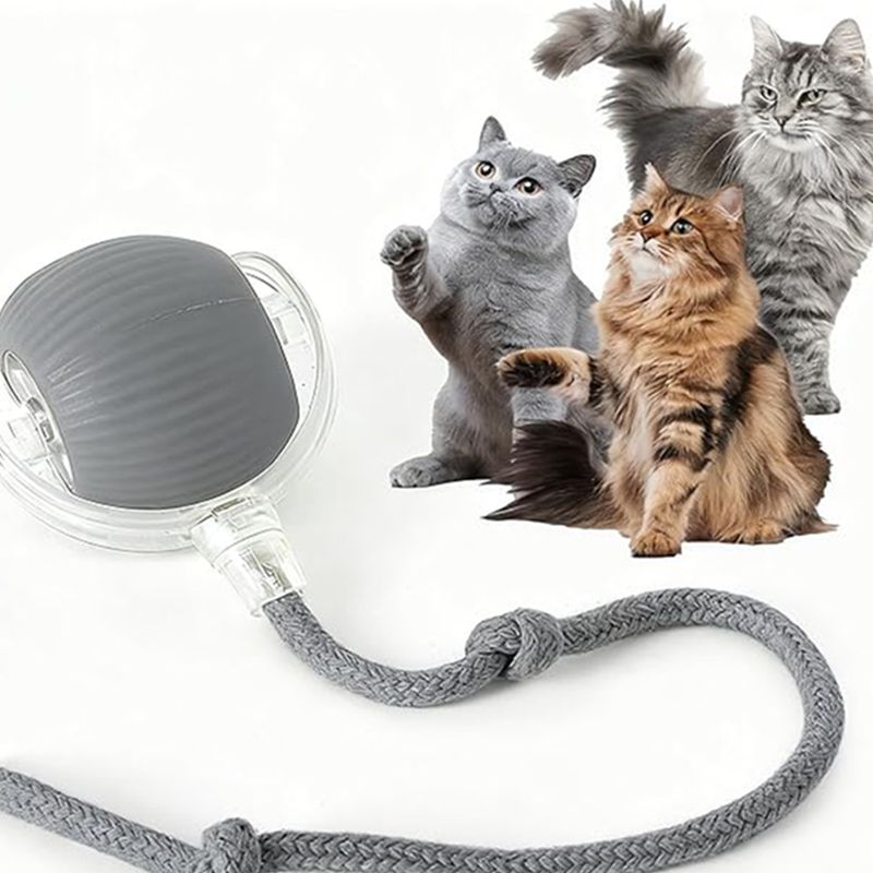 Interactive Rolling Pet Ball