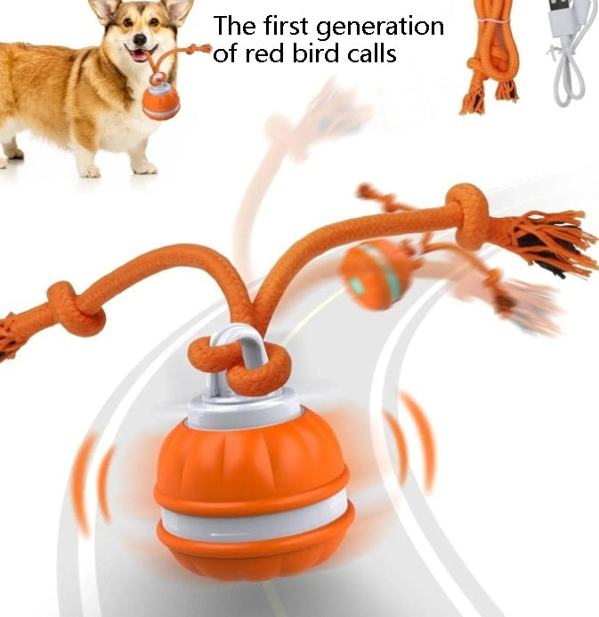 Interactive Pet Ball