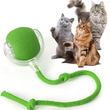 Interactive Rolling Pet Ball