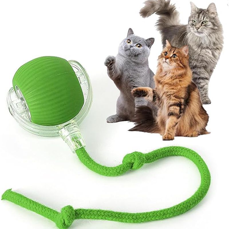 Interactive Rolling Pet Ball